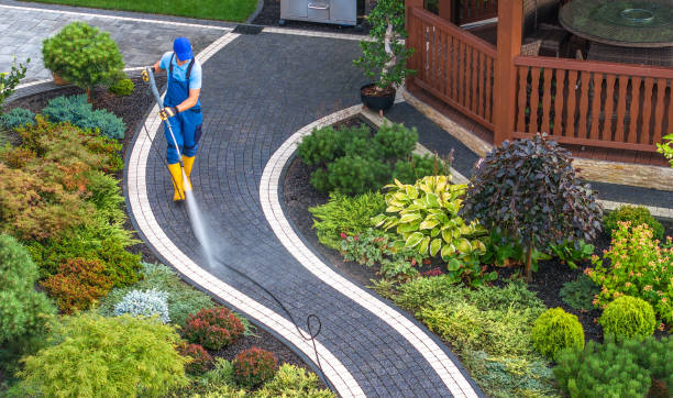 Best House Pressure Washing  in Westminster, SC